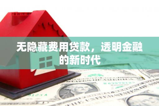 岱山无隐藏费用贷款，透明金融的新时代