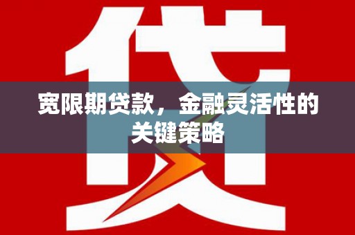 岱山宽限期贷款，金融灵活性的关键策略