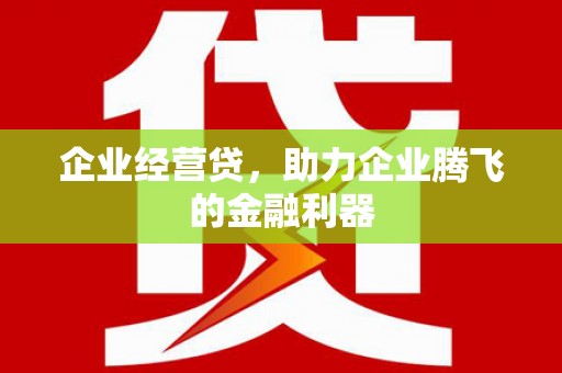 岱山企业经营贷，助力企业腾飞的金融利器