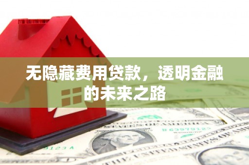 岱山无隐藏费用贷款，透明金融的未来之路
