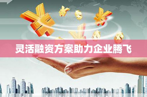 岱山灵活融资方案助力企业腾飞