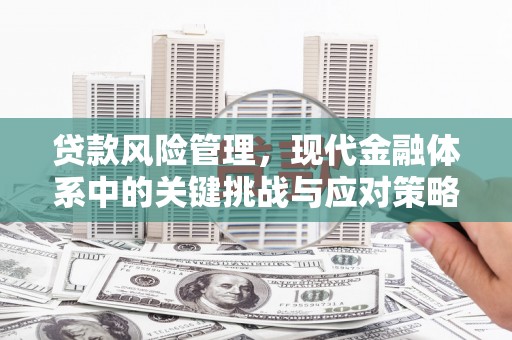 岱山贷款风险管理，现代金融体系中的关键挑战与应对策略