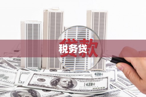 岱山税务贷
