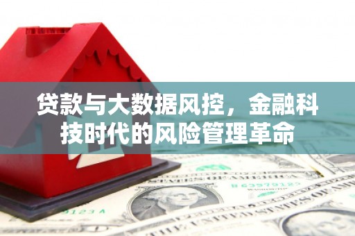 岱山贷款与大数据风控，金融科技时代的风险管理革命