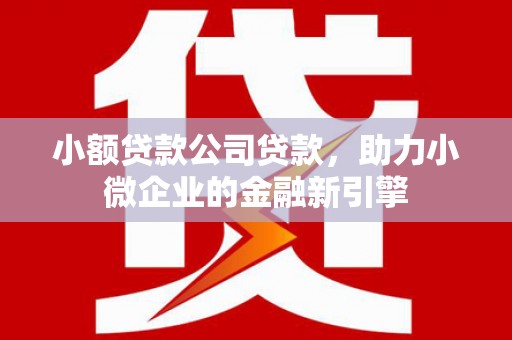 岱山小额贷款公司贷款，助力小微企业的金融新引擎