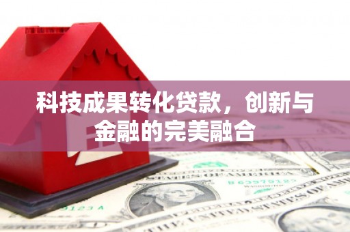 岱山科技成果转化贷款，创新与金融的完美融合