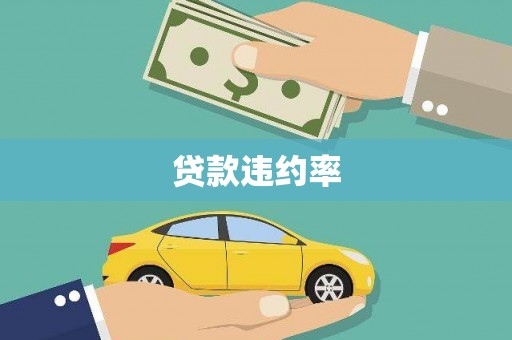 岱山贷款违约率