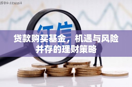 岱山贷款购买基金，机遇与风险并存的理财策略