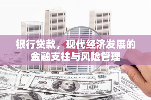 岱山银行贷款，现代经济发展的金融支柱与风险管理