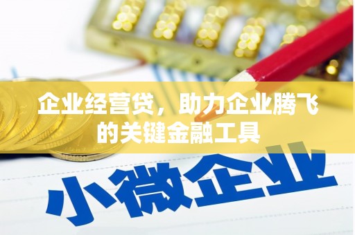 岱山企业经营贷，助力企业腾飞的关键金融工具