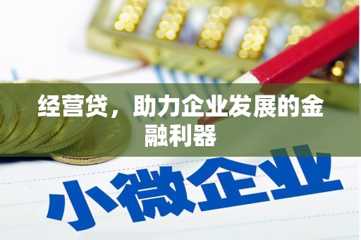 岱山经营贷，助力企业发展的金融利器