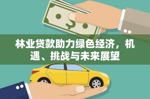 岱山林业贷款助力绿色经济，机遇、挑战与未来展望