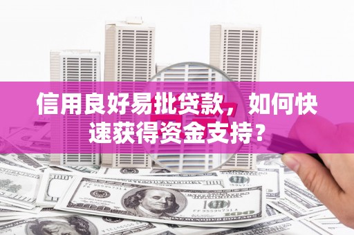 岱山信用良好易批贷款，如何快速获得资金支持？