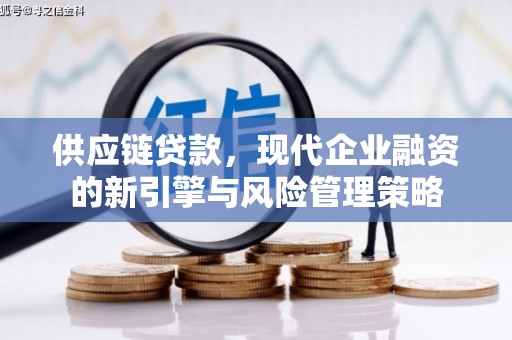 岱山供应链贷款，现代企业融资的新引擎与风险管理策略
