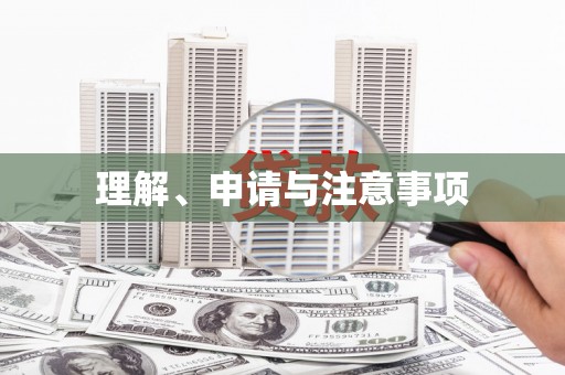 岱山理解、申请与注意事项
