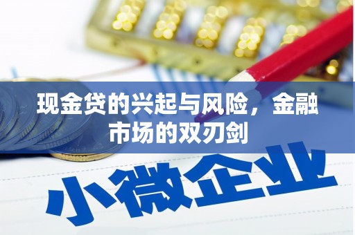 岱山现金贷的兴起与风险，金融市场的双刃剑