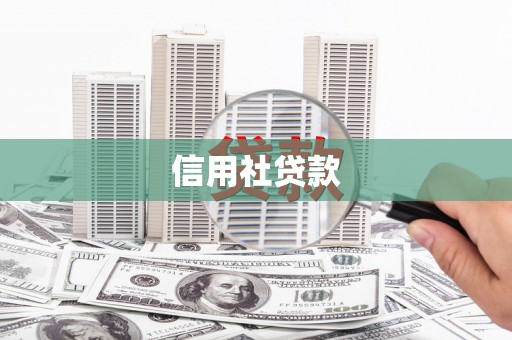岱山信用社贷款