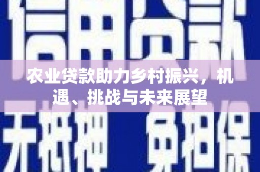 岱山农业贷款助力乡村振兴，机遇、挑战与未来展望