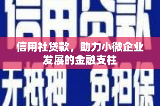 岱山信用社贷款，助力小微企业发展的金融支柱