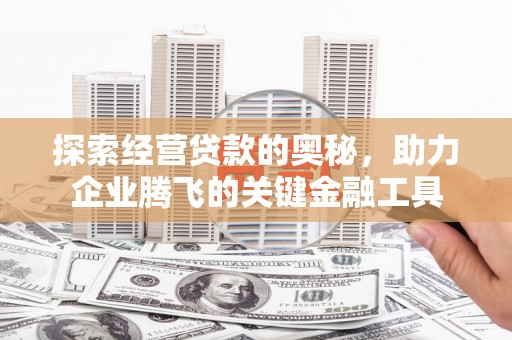 岱山探索经营贷款的奥秘，助力企业腾飞的关键金融工具