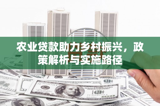 岱山农业贷款助力乡村振兴，政策解析与实施路径
