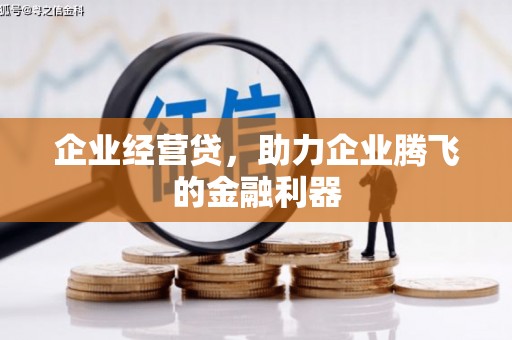 岱山企业经营贷，助力企业腾飞的金融利器