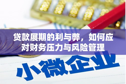 岱山贷款展期的利与弊，如何应对财务压力与风险管理