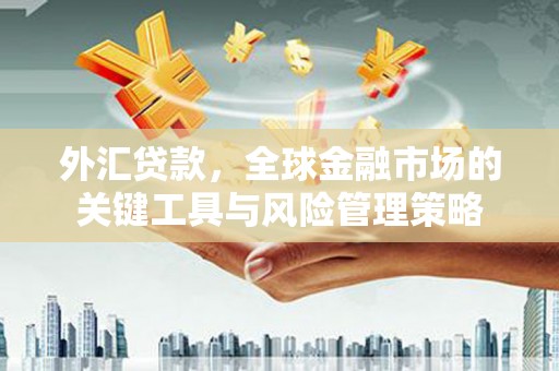 岱山外汇贷款，全球金融市场的关键工具与风险管理策略