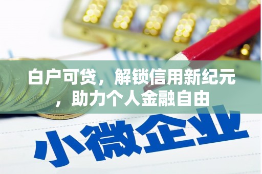 岱山白户可贷，解锁信用新纪元，助力个人金融自由