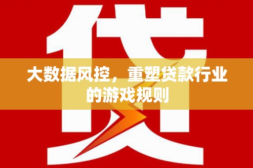 岱山大数据风控，重塑贷款行业的游戏规则