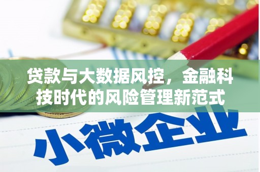 岱山贷款与大数据风控，金融科技时代的风险管理新范式