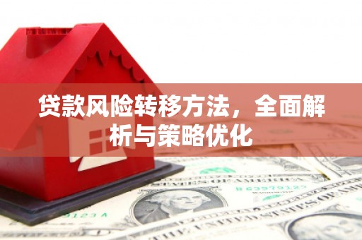 岱山贷款风险转移方法，全面解析与策略优化