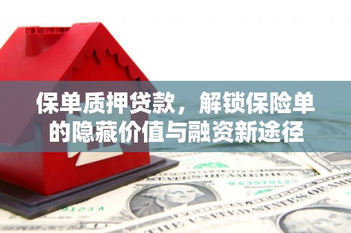 岱山保单质押贷款，解锁保险单的隐藏价值与融资新途径