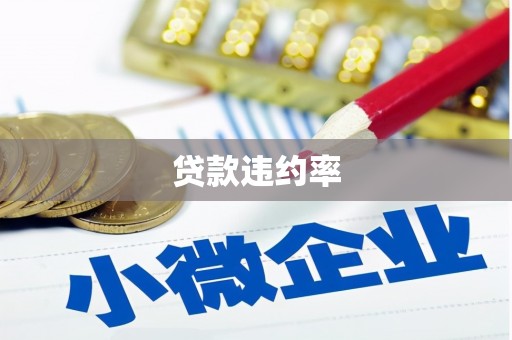 岱山贷款违约率