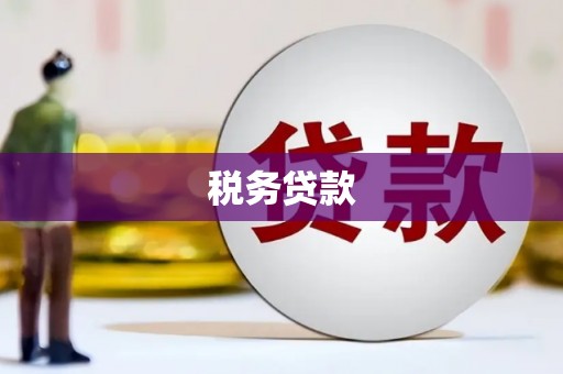 岱山税务贷款