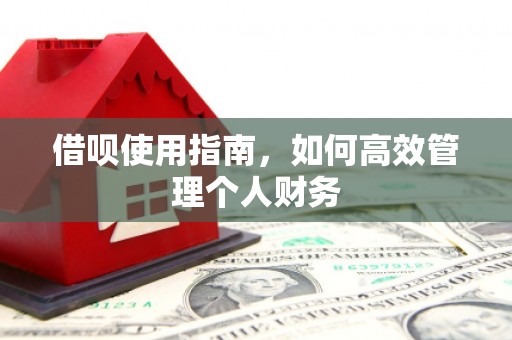 岱山借呗使用指南，如何高效管理个人财务