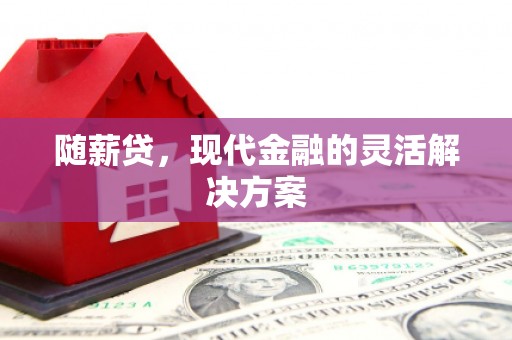 岱山随薪贷，现代金融的灵活解决方案