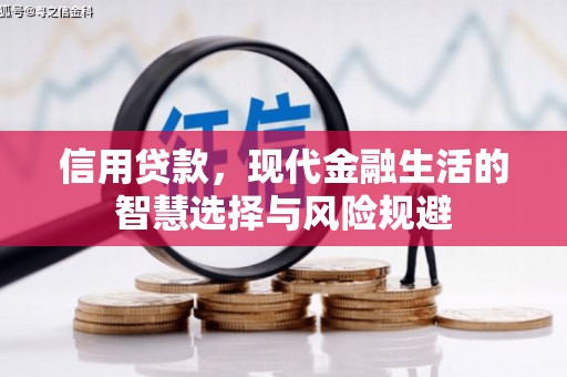 岱山信用贷款，现代金融生活的智慧选择与风险规避