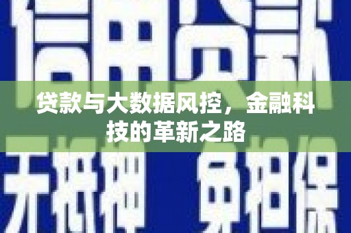 岱山贷款与大数据风控，金融科技的革新之路
