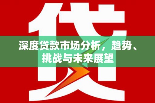 岱山深度贷款市场分析，趋势、挑战与未来展望