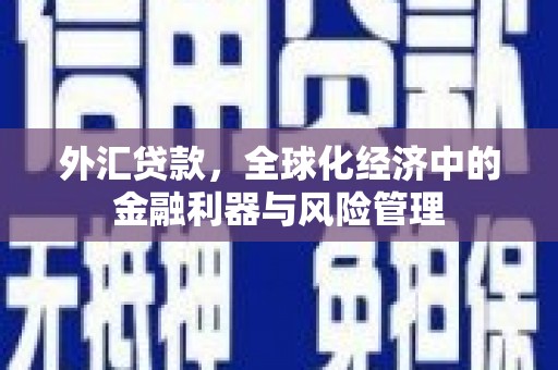 岱山外汇贷款，全球化经济中的金融利器与风险管理