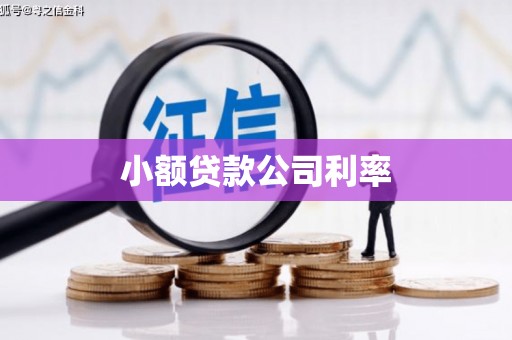 岱山小额贷款公司利率