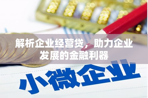 岱山解析企业经营贷，助力企业发展的金融利器