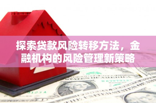 岱山探索贷款风险转移方法，金融机构的风险管理新策略