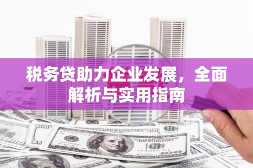 岱山税务贷助力企业发展，全面解析与实用指南