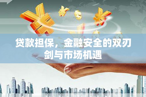 岱山贷款担保，金融安全的双刃剑与市场机遇