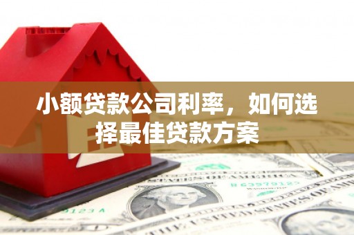 岱山小额贷款公司利率，如何选择最佳贷款方案