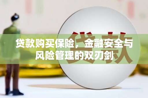 岱山贷款购买保险，金融安全与风险管理的双刃剑
