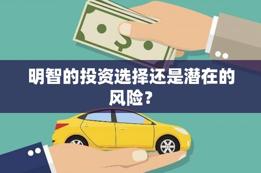 岱山明智的投资选择还是潜在的风险？