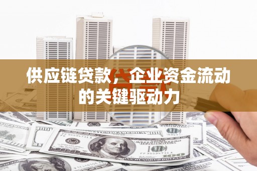 岱山供应链贷款，企业资金流动的关键驱动力